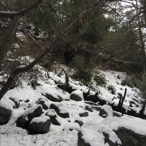 Meet your Posher, Steve